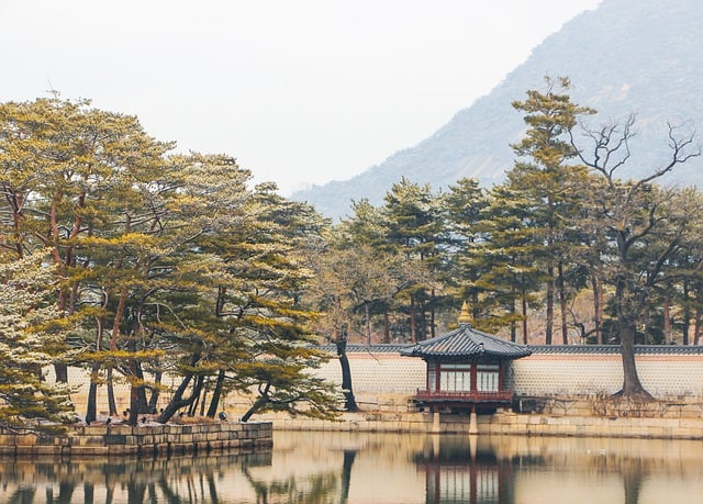 상업 자본이 조선 경제 구조에 침투한 흐름 알아보기