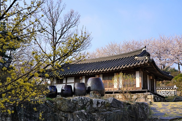서민 문화가 본격화된 배경을 경제사로 해석하기