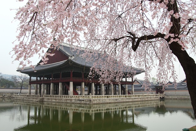 세금 제도의 복잡성이 농민에게 미친 영향 분석하기