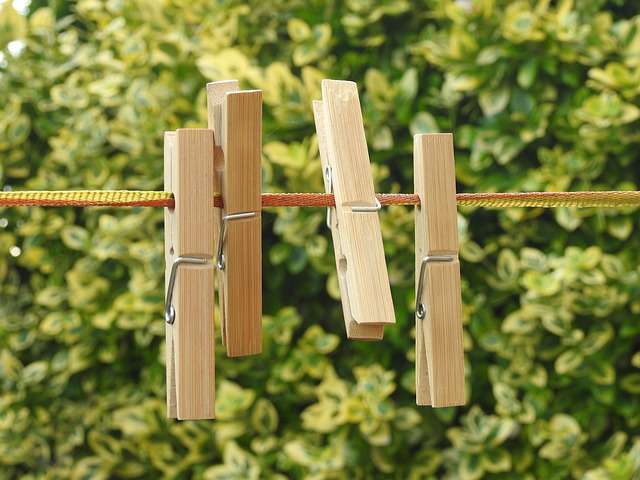 자취 생활비를 줄이는 주방 관리와 식재료 정리